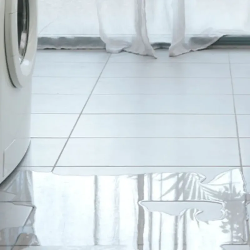 Appliance Leak Cleanup in Indian Springs, GA