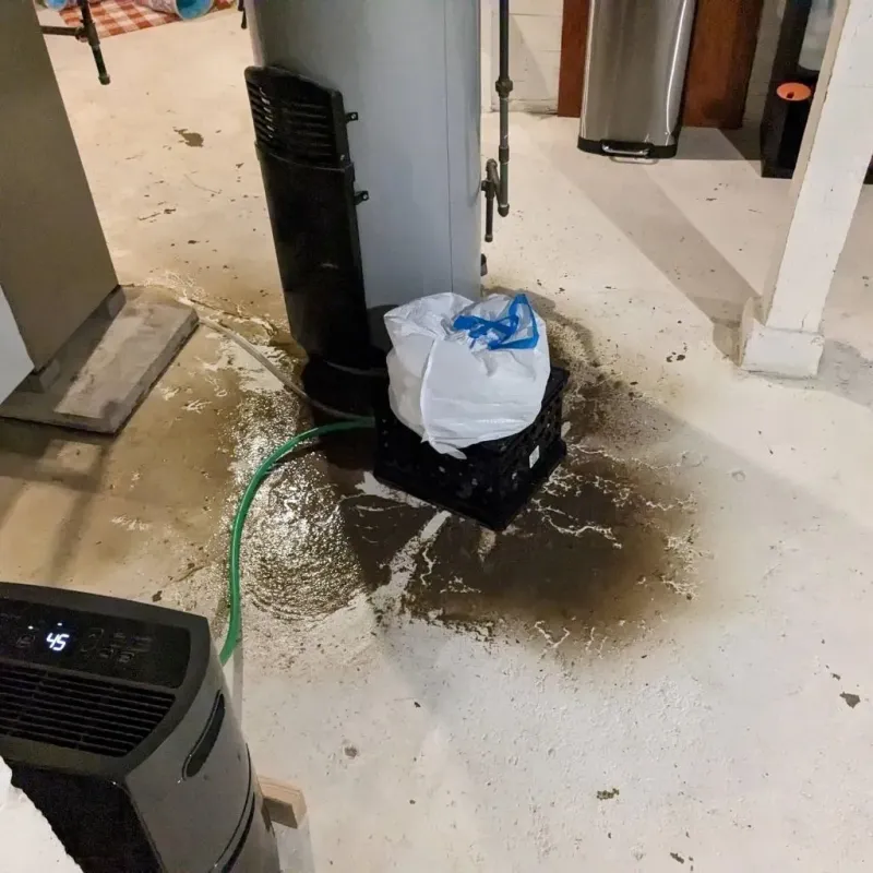 Sewage Backup Cleanup Service in Indian Springs, GA